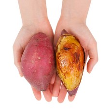 도시농장 프리미엄 로얄벌꿀고구마, 상중사이즈3kg내외, 1박스, 3kg