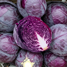 [초특가할인] 적양배추 국내산 적채 적색 양배추 대용량, 1박스, 5kg