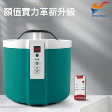 廠家直供家用桑拿浴箱燻蒸機蒸汽機燻蒸儀燻蒸鍋汗蒸箱跨境汗蒸房, 墨綠色:2.0L110V美規
