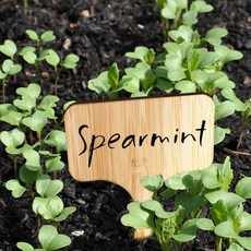 원예 대나무 네임택 1개, 1