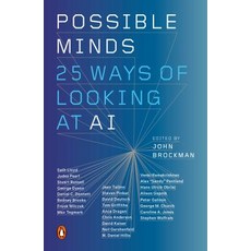 Possible Minds: Twenty-Five Ways of Looking at AI Paperback, Penguin Group