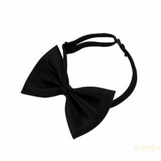 콩콩 애견 나비넥타이 애완용품, 검정