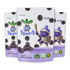 [영글어농장] 국내산 동결건조 과일칩 엄마만점 블루베리칩 15g 3개