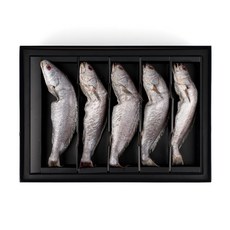 청정해 차롱 참민어굴비 대 (1.6~2kg 5마리) 선물세트, 5마리