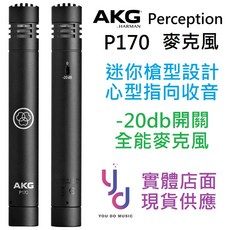 AKG P170 電容式麥克風 心型指向收音 適用於吉他弦樂鋼琴打擊樂器