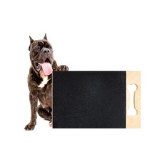 강아지 발톱 사포 반려동물 스크래처 미용 도마 다듬기 갈이판 애견 손톱 패드, 02. 파란색, 1개