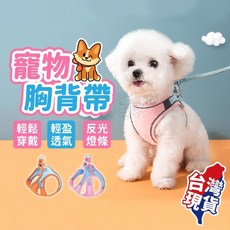 寵物胸背帶 送牽繩 夜間反光 貓胸背帶 背心胸背帶 貓牽繩 遛貓繩, 粉藍,S, 1個