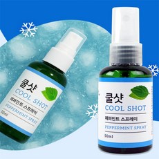 더샵이지 쿨샷스프레이 발쿨링스프레이