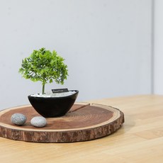 파슬리 조화 센터피스 미니 수반 화분 set 14cm 인테리어 식물 조경 테이블 장식 소품 꾸미기, 단품