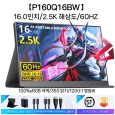 16인치모니터 서브 노트북보조모니터 터치 화면 디스플레이 고화질 보조모니터, 15.6인치, e. 16인치/2.5K/60Hz