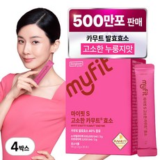 동국제약 이보영 마이핏 고소한 카무트효소 식약청인증 효소분말 누룽지맛, 90g, 4박스