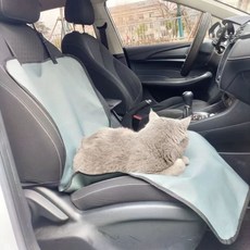 기능이 있는 고양이와 사용 적합합니다. 기능이 있어 얼룩 차량용 앞좌석과 쿠션입니다. 강아, G. 그레이 조수석 방수