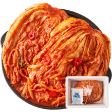 완찬 시원한 배추김치 아이스박스 포장, 10kg, 1개, 포기김치