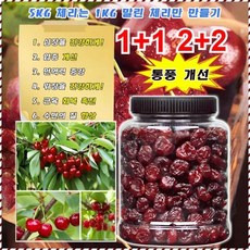 프리미엄 말린 체리 관절염 통풍 개선 천연 무설탕 체리 건포도 여려차례 선별 영양 풍부한 간식, 250g