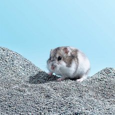 와이이 햄스터모래 소금모래, 1kg, 1개