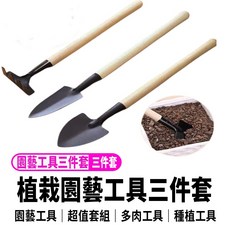園藝迷你三件套 多肉種植工具 鏟子 耙子 鐵鍬 移盆工具組, 1個