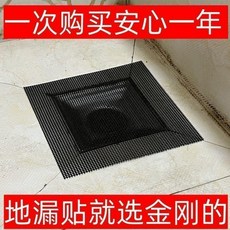 不鏽鋼地漏過濾網 廚房衛生間防堵防毛髮, 金剛網地漏貼 10x15釐米 2片