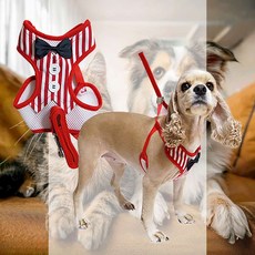 반려견 턱시도 하네스 세트 스트라이프 애견 고정 안전 산책 리드줄 보호, L