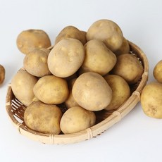 사시사철 맛좋은 우리땅 햇 감자(중) 3kg, 1개