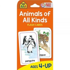 School Zone Publishing 동물 플래시 카드 303132