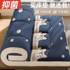 매트리스 더블 소이 편안한 바닥 학생 싱글 부드러운 다다미 기숙사 섬유 이불 침대 가정용 매트, [07] 180x190cm, style 9