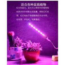 USB植物生長燈 盆栽補光燈