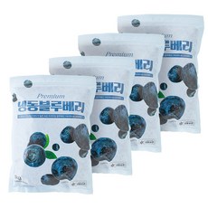 당도높은 무첨가 100% 냉동블루베리 1KG, 1kg(칠레), 4개