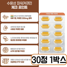 [5차 재입고] 강황추출물 터마신 수용성 커큐민 100% 염증영양제 판매1위, 1개, 30정