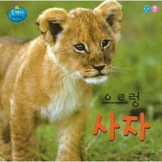 으르렁 사자, 인북