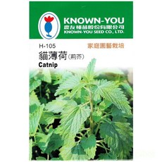 KNOWN-YOU 貓薄荷種子 H-105 家庭園藝栽培 貓咪最愛, 1個