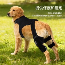 寵物後腿關節護具狗狗復健護膝帶雙支撐條穩定腿部術後隔離傷口避免舔碰造成二次感染可調節鬆緊舒適貼合大型犬老年犬受傷行走輔助保護套, S單只裝, 黑色