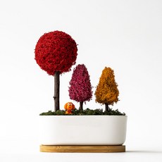 SCANDIAMOSS 人造花盆擺飾, 05_紅色, 1個