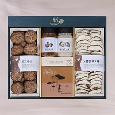 숲속애 버섯차 혼합GIFT (향), 1세트