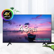 플랜티엄 43인치 UHD 4K LED 아이온 TV 모니터, 기사방문설치(벽걸이)