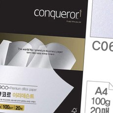 디쓰리포 리플렛용지 콩코르 이리데슨트 A4 100g 실버펄 20매