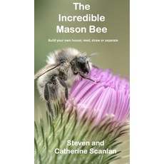 (영문도서) The Incredible Mason Bee Hardcover, Island Books, English, 9781989681152
