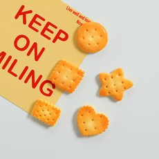 서플라이랩 귀여운 냉장고 자석 마그넷 세트 9종, 6. 비스킷 10p