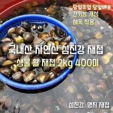 [산지직송] 국내산 자연산 새벽조업 당일배송 햇 생물 섬진강 명지 재첩 1kg 200미 내외. 2kg 400미 내외 선물용 가정용, 1박스, 섬진강 명지 햇 생물재첩 2kg 400미 내외