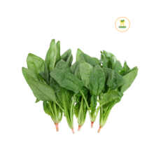 시금치 (1kg) 가락시장 가락몰 나물 농산물