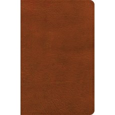 (영문도서) NASB Personal Size Bible Burnt Sienna Leathertouch Imitation Leather, Holman Bibles, English, 9781430094807