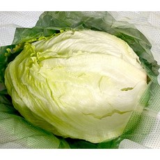 국내산 양상추 1통 500g 양상치 포장양상추 양상추샐러드, 1개