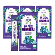 참앤들황토농원 데이앤 NFC착즙 100% 유기농 블루베리 스틱 14포, 4박스, 20g