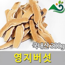 영지버섯(300g)-국내산, 1개, 300g