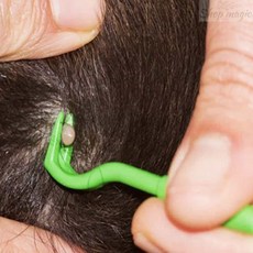 PICK 진드기핀셋 강아지진드기 강아지핀셋