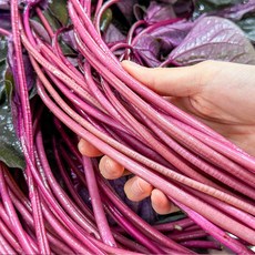 농가살리기 껍질째 먹는 고구마 줄기, 1박스, 1kg(잎 포함)