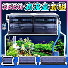 教風 雙層六盒加厚升級魚缸過濾器 適用於80-100CM魚缸 附雙排雨淋管 抽屜盒設計, 1個, 【普通款 F-30】適30-50CM缸