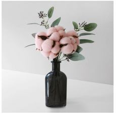 BLOOMING&ME Cotton & Skimia 現代玻璃瓶套組, 棉（粉色）、玻璃瓶（黑色）