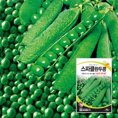세계종묘 스파클완두콩 40g 종자 씨앗 완두콩 스파클 코투리가 크고 맛이 좋은 조생계, 1개