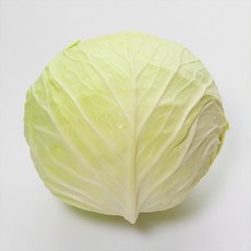 GN2510 제주 양배추, 1박스, 3kg