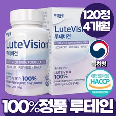 자연온정 루테비전 LUTE VTCR 빌베리 블루베리 루테인 정품, 1개, 120정